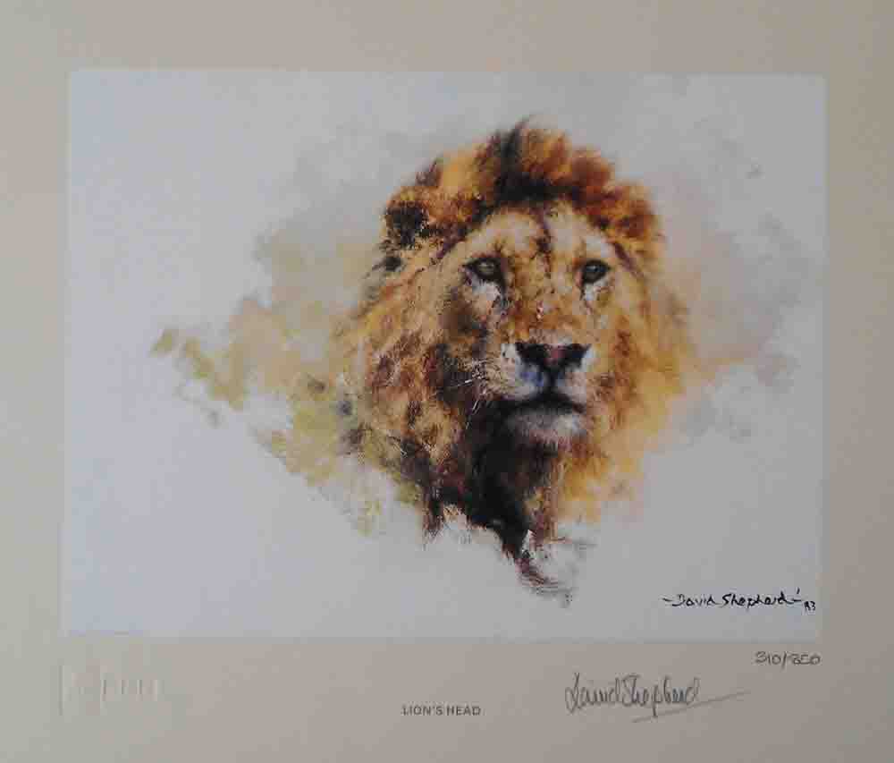 david shepherd lion head
