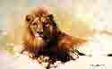 davidshepherd-lionsketch1986