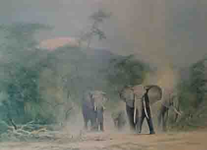 david shepherd  lords of the jungle print