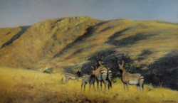 david shepherd, Mountain Zebra, signed print