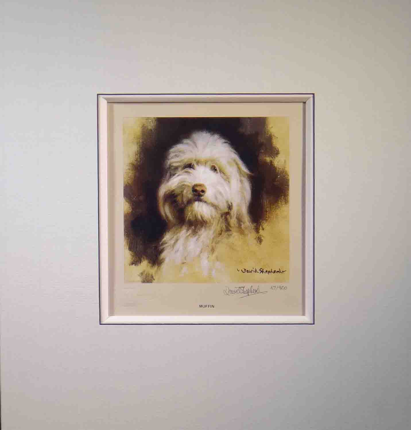 muffin, bearded collie, dog print