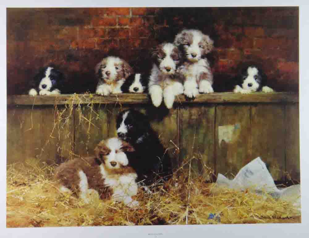 muffin's pups print