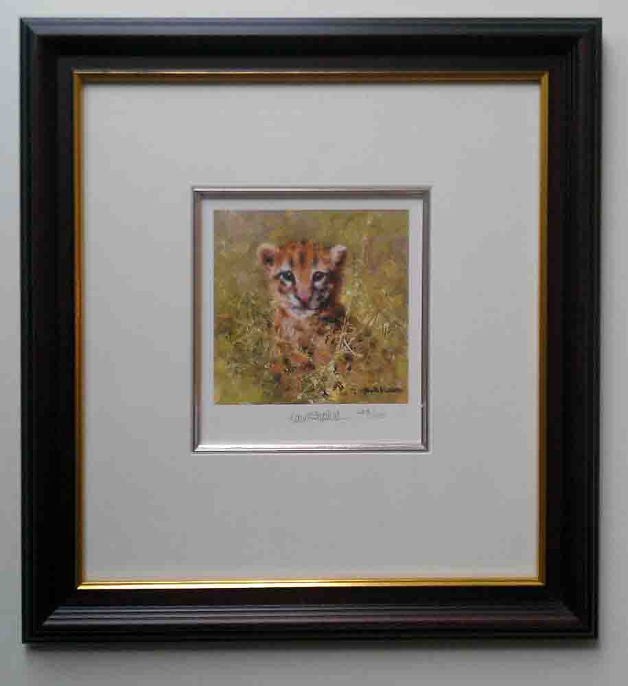 david shepherd ocelot cub cameo framed