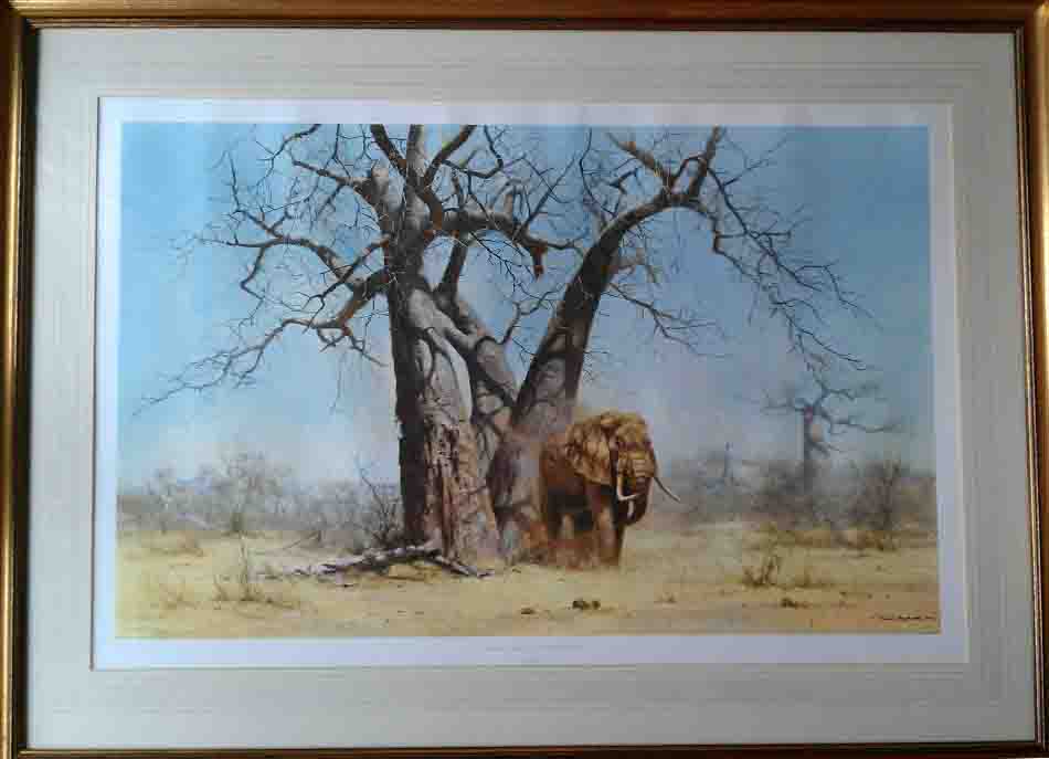 david shepherd old george under his favourite baobab tree