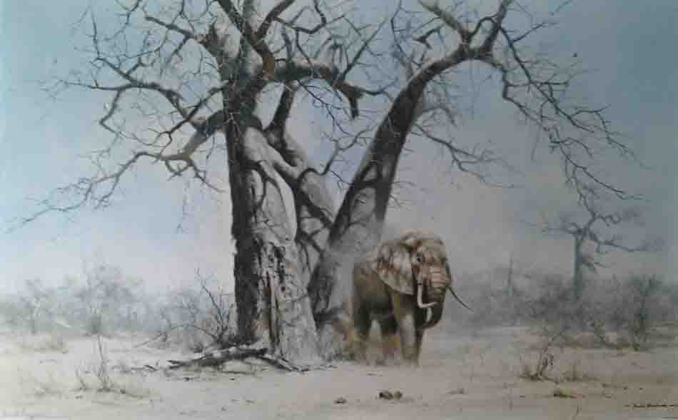 david shepherd old george under his favourite baobab tree