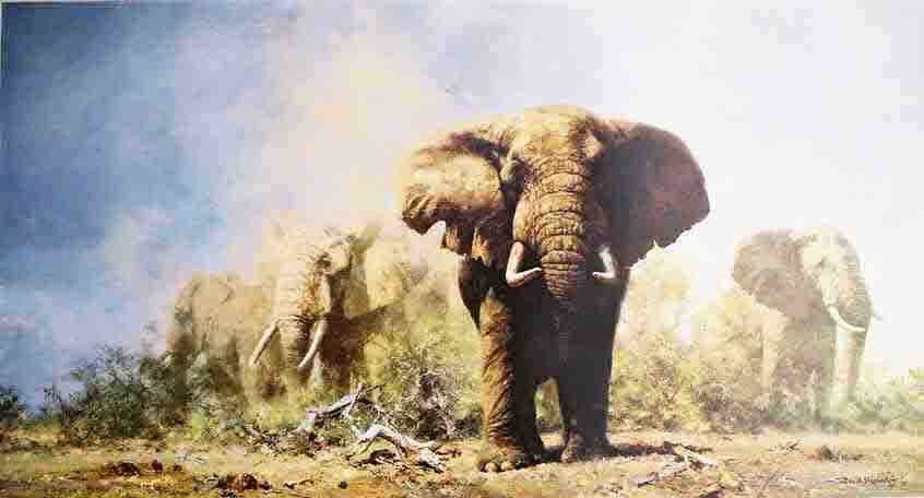 old men of Etosha elephant print