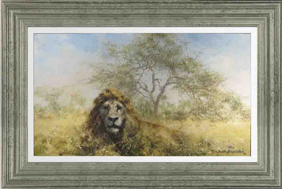 david shepherd, lion, original