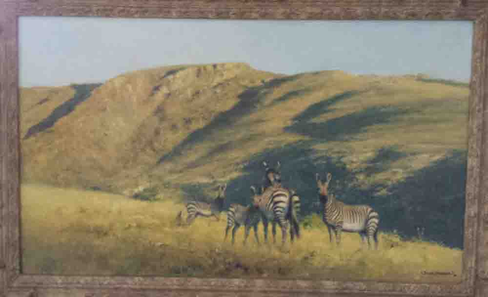 david shepherd zebra original framed