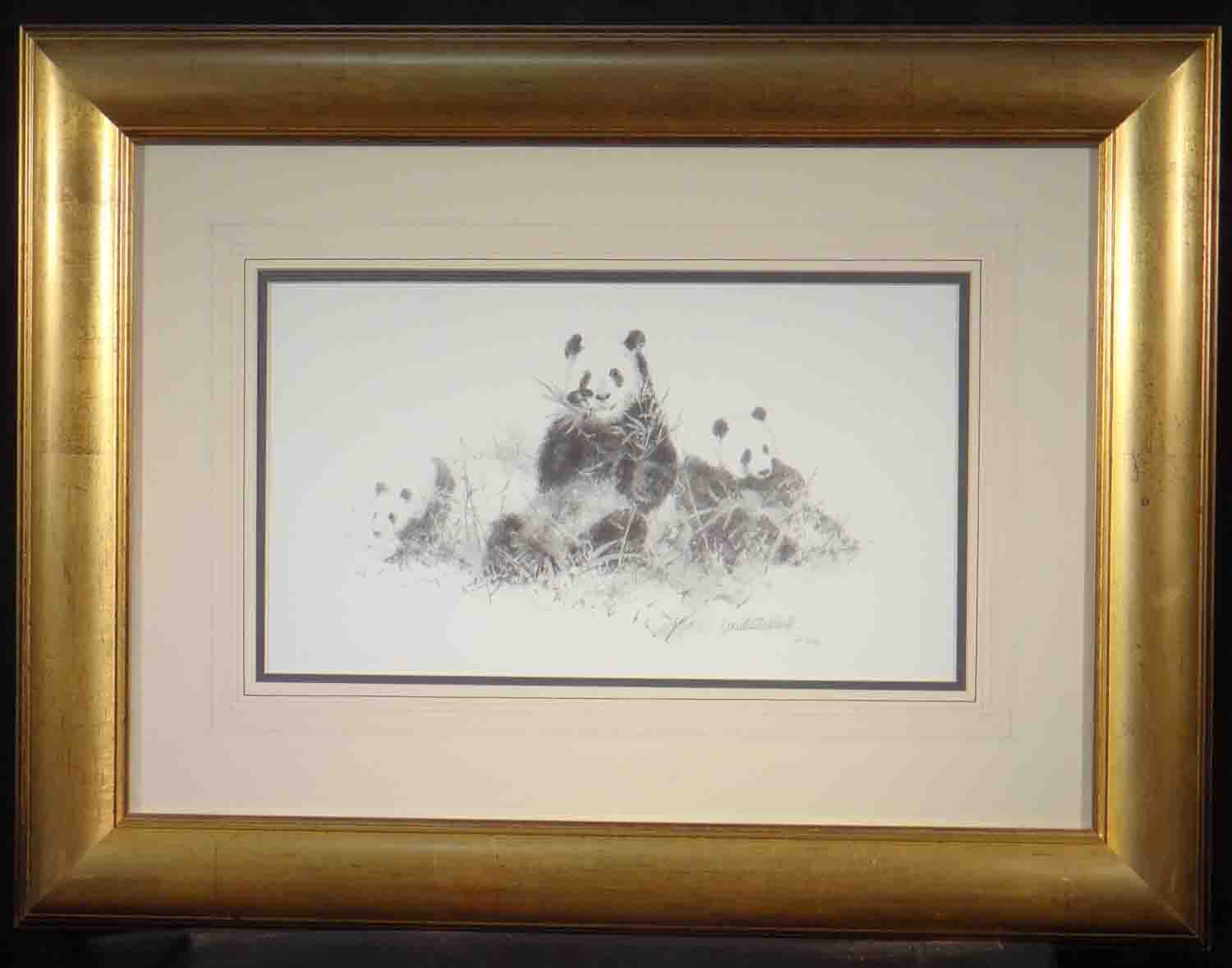 david shepherd pandas sketch 2001