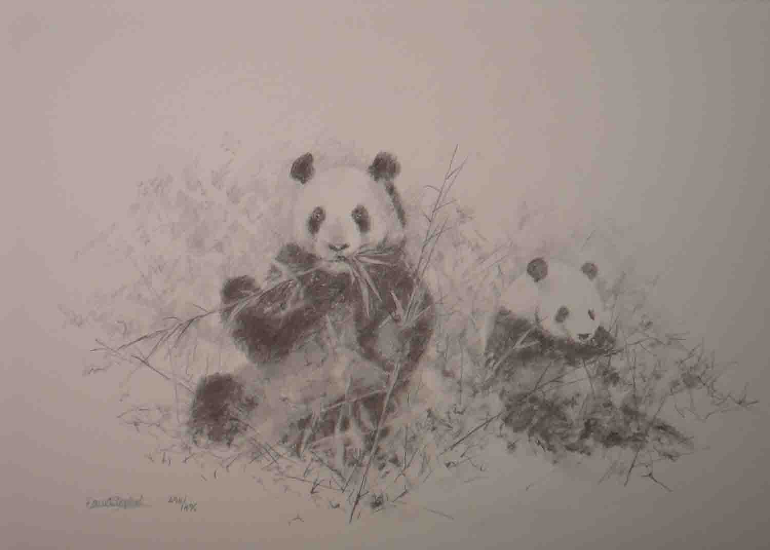 david shepherd pandas sketch 2006