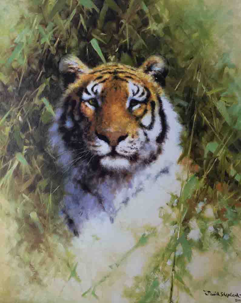portrait of a tiger print