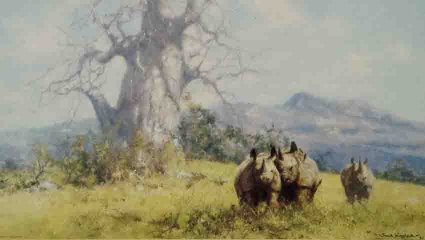 david shepherd rhino reverie, rhinoceros