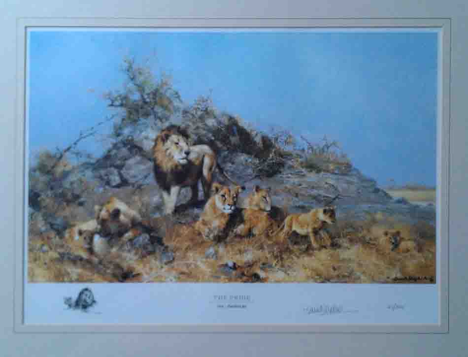 david shepherd sappi pride print