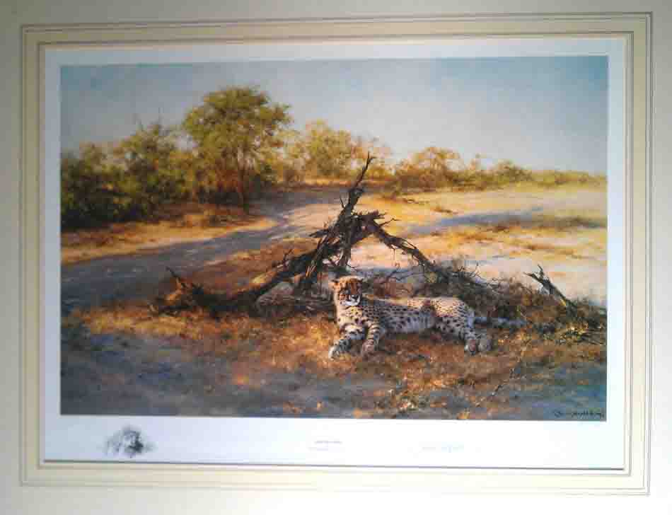 david shepherd savuti sands print