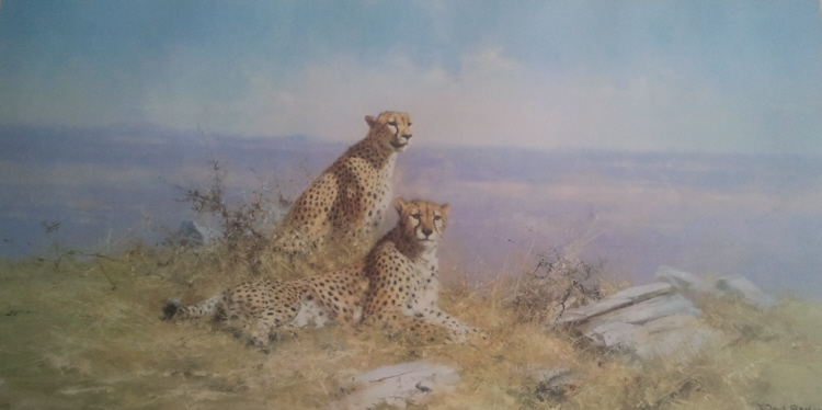 david shepherd  serengeti signed limited edition print