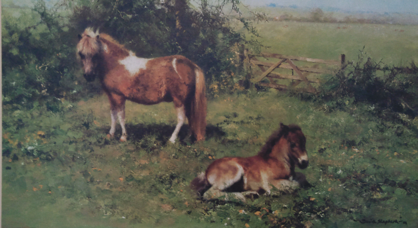 shepherd shelties signed print