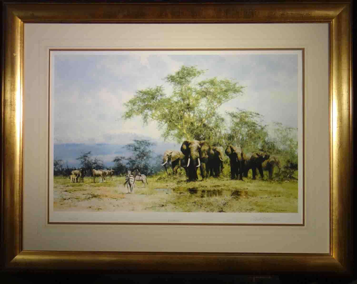 david shepherd signed limited edition print Amboseli