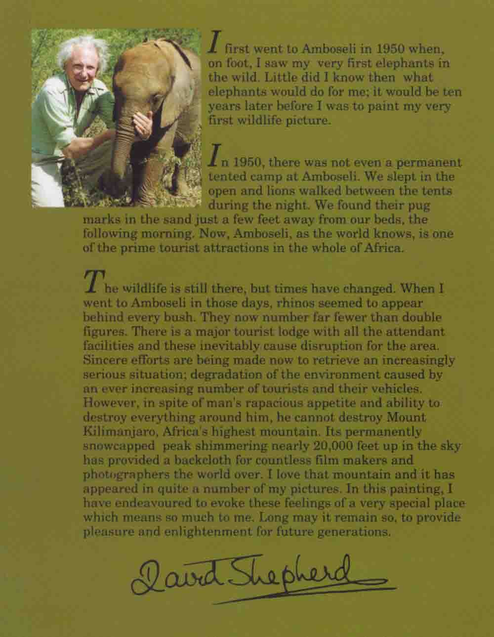 david shepherd amboseli brochure