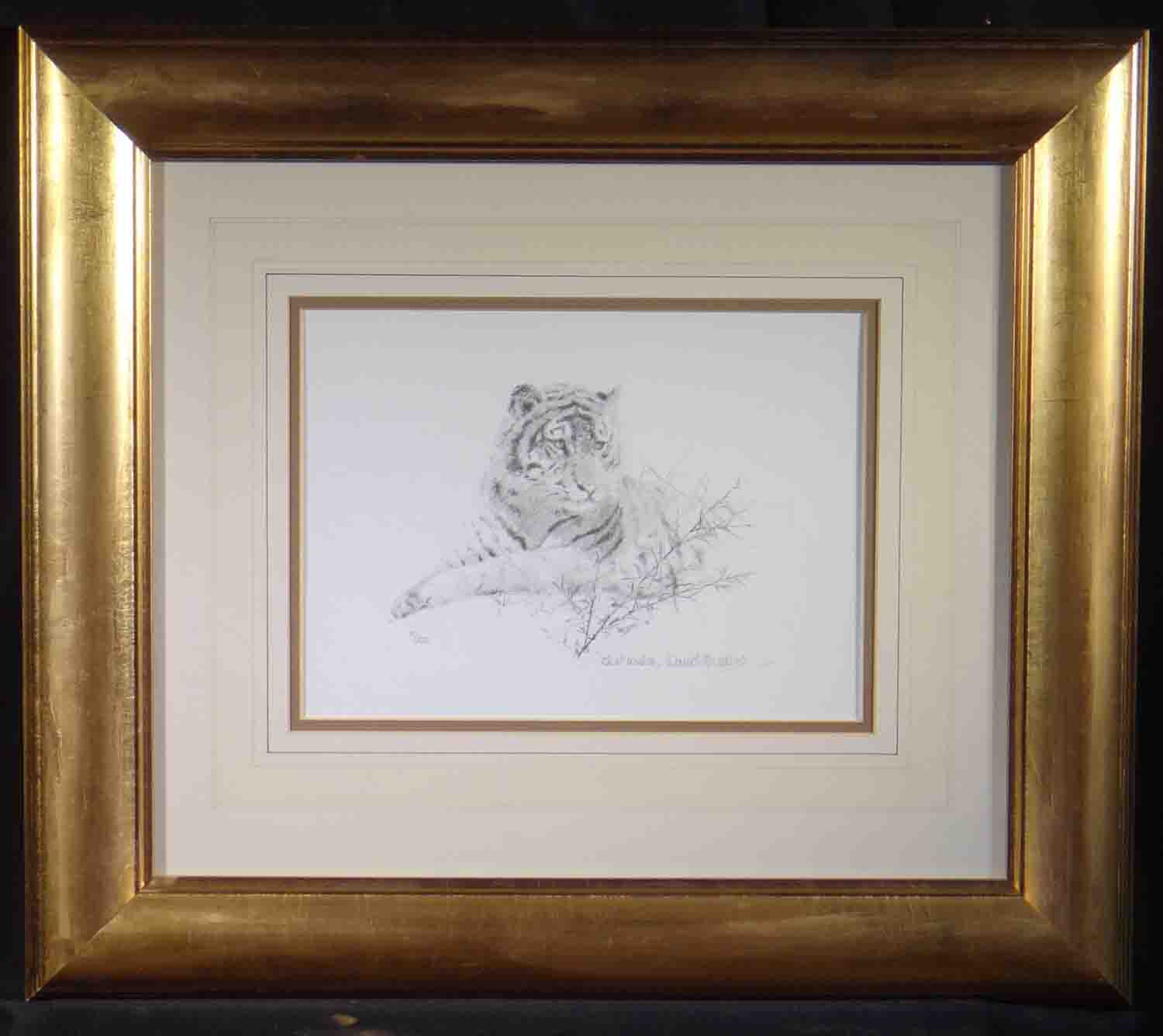 david shepherd Portrait of a Tiger sketch
