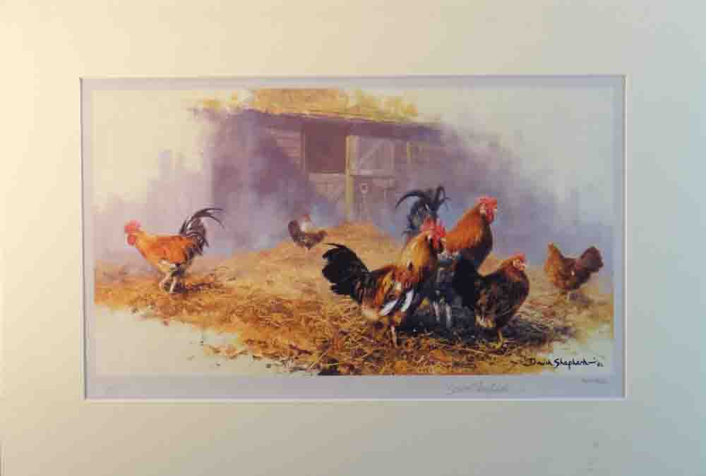 david shepherd roosters, mounted
