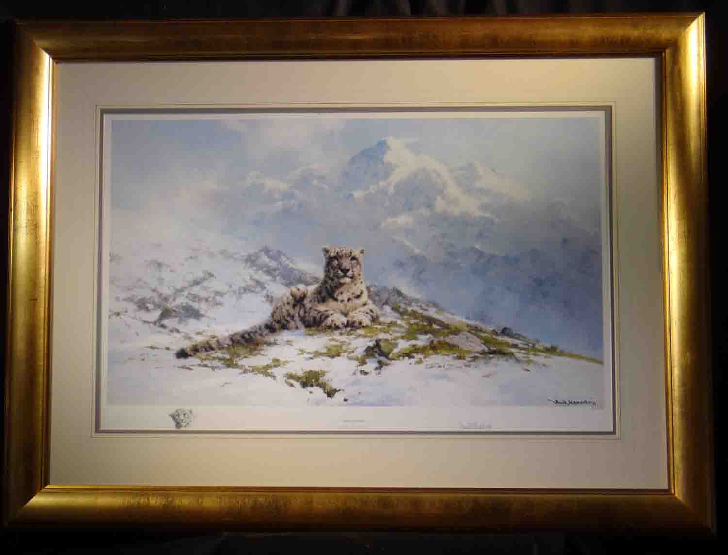 david shepherd  snow leopard