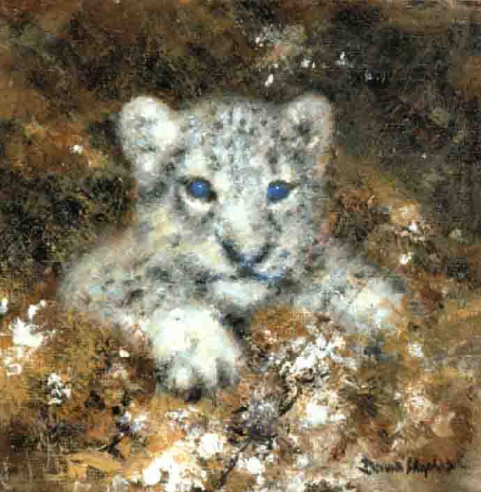 david shepherd snow leopard cub cameo