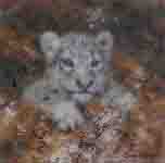 david shepherd snow leopard cub cameo print