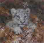 david shepherd snow leopard cub cameo, print