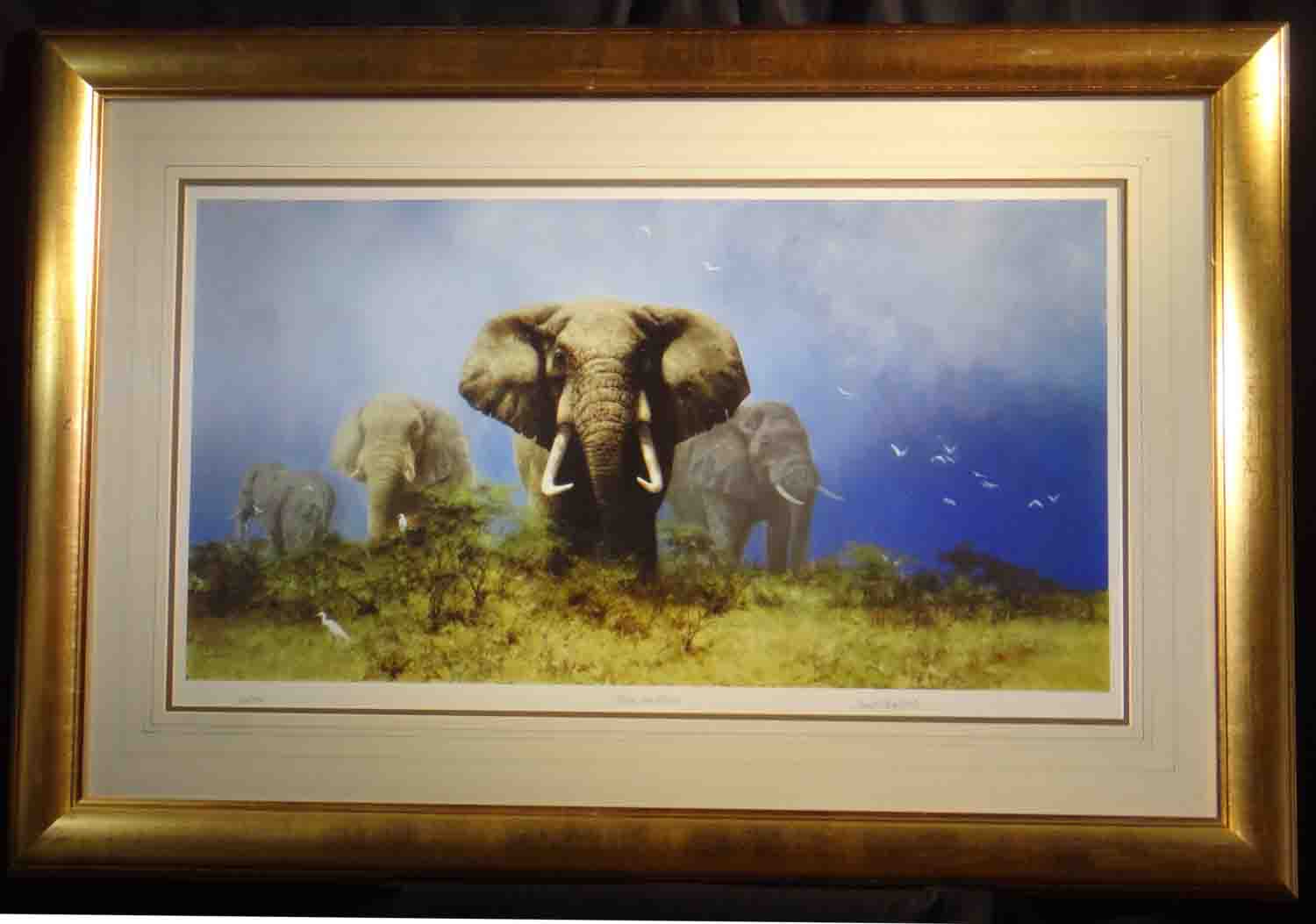 david shepherd  storm over africa