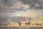 david shepherd, Storm over Amboseli, signed print