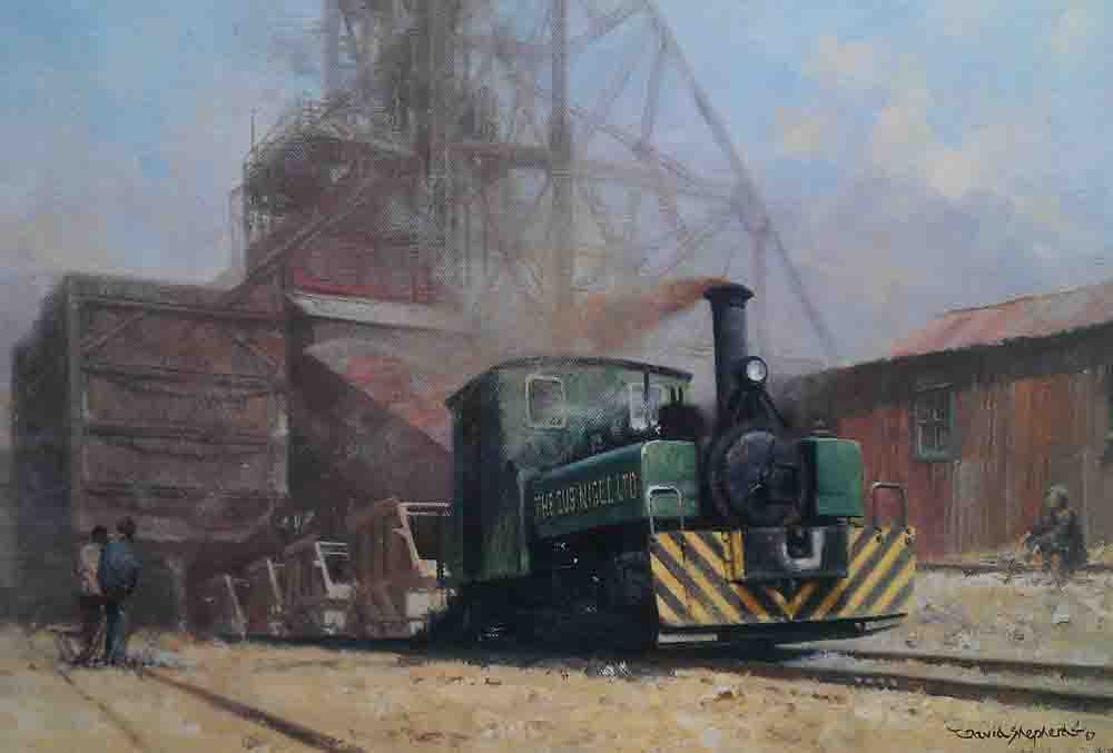 david shepherd sub-nigel mine