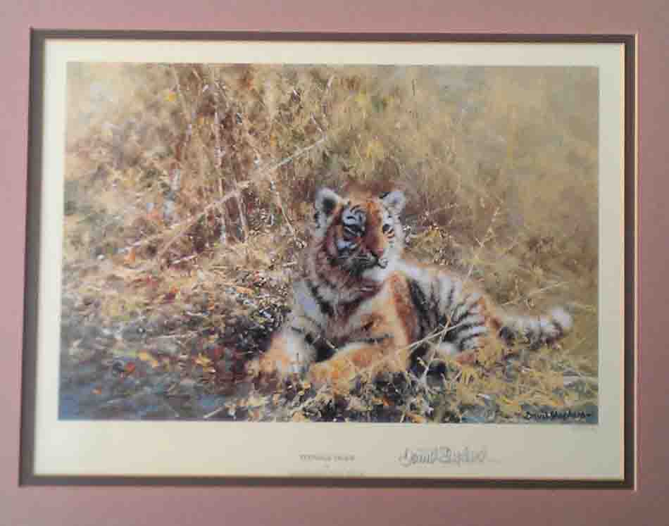 david shepherd Teenage Tiger print