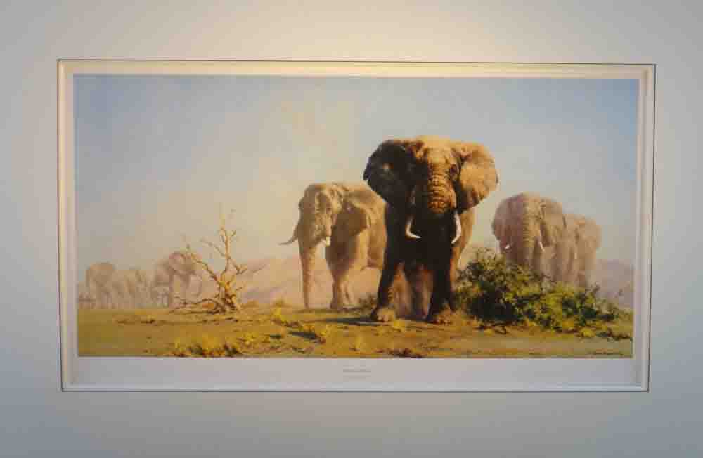 David Shepherd the ivory is theirs mounted