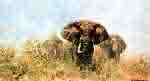 david shepherd three happy jumboselephants print