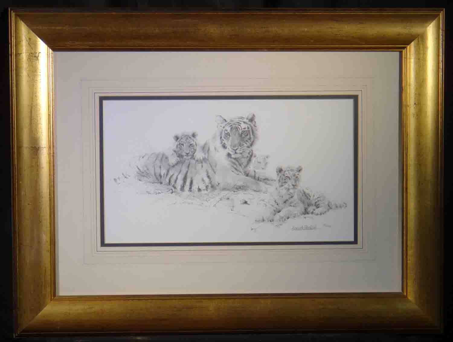 david shepherd Tiger and cubs  sketch