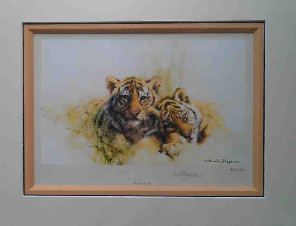 davidshepherd tiger cubs