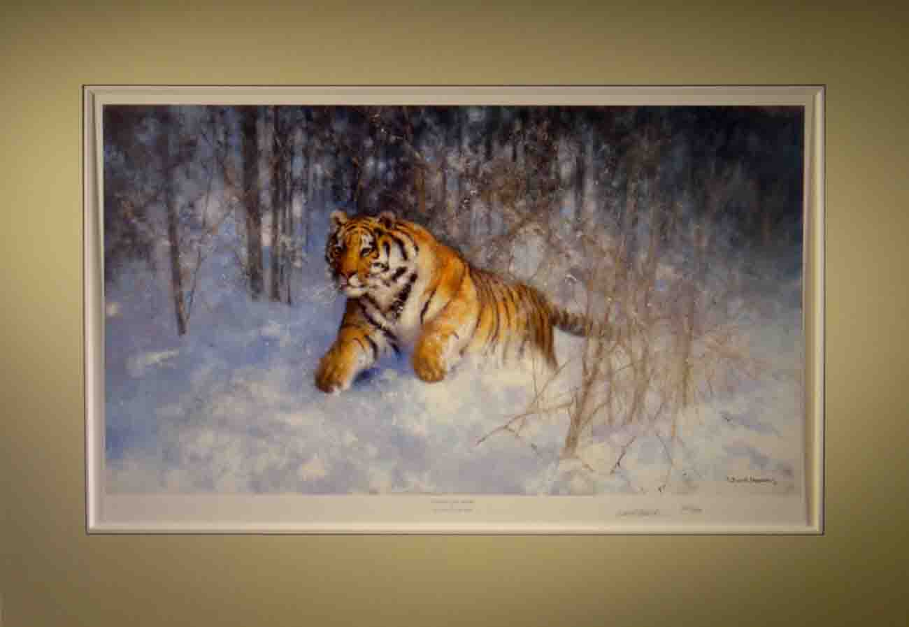 david shepherd Tiger in the snow, signed limited edition print