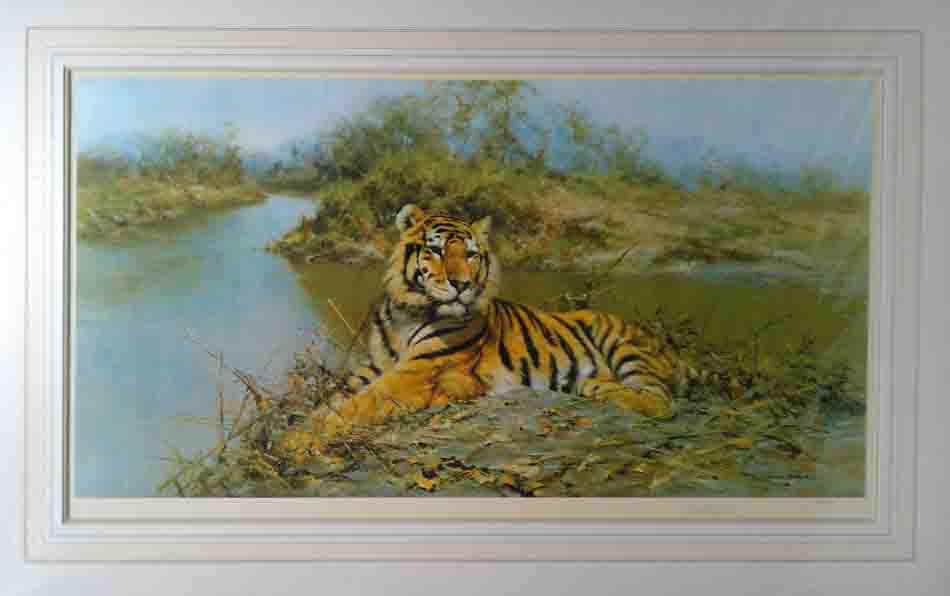tiger in the sun print
