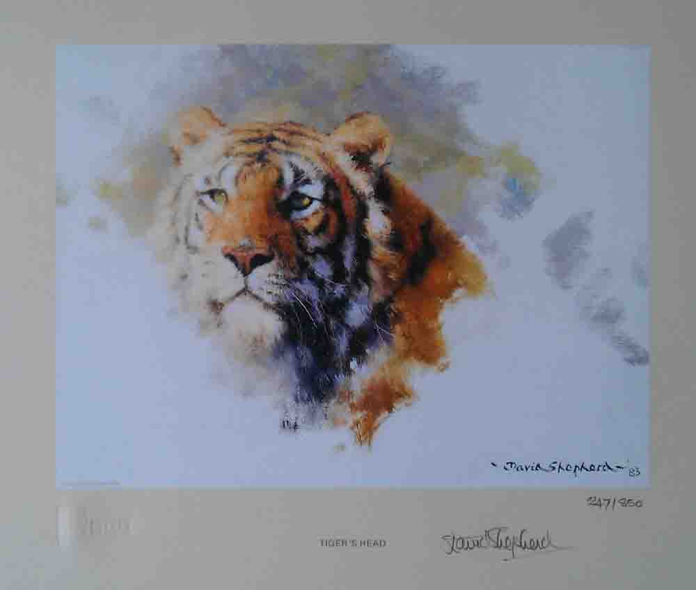 david shepherd tiger's head