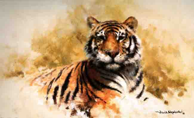 davidshepherd tiger sketch 1986