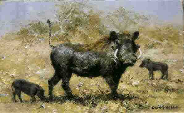 david shepherd warthog family print
