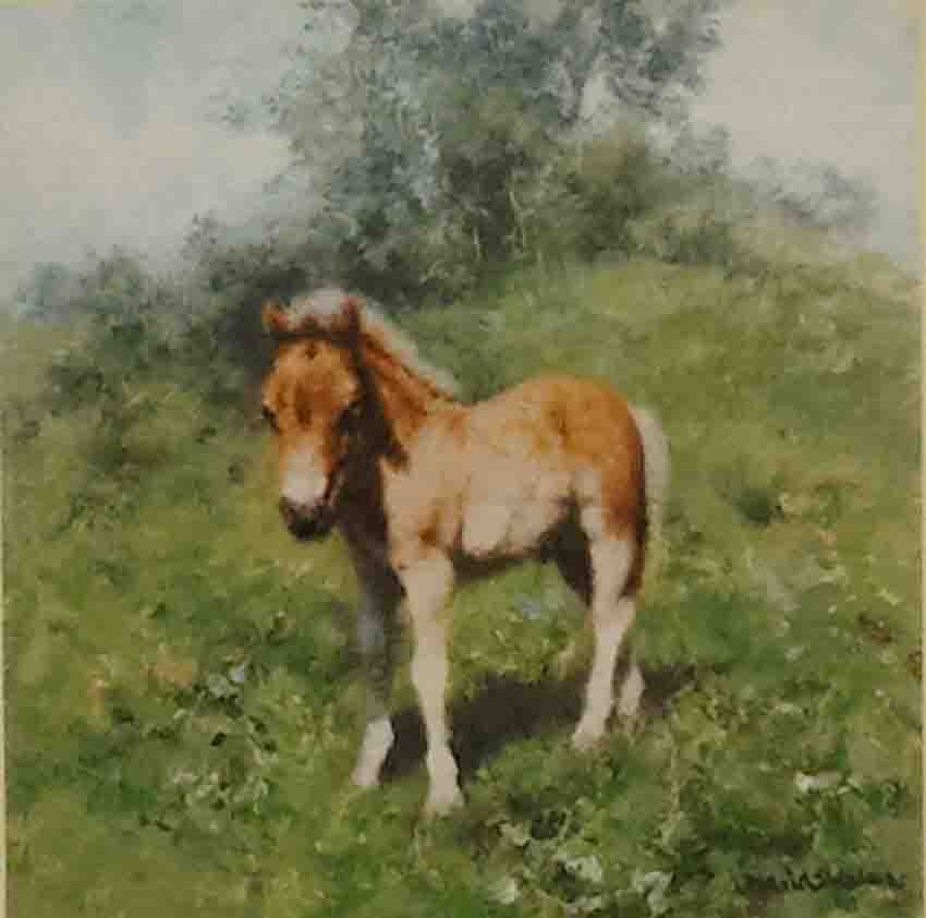 david shepherd foal print