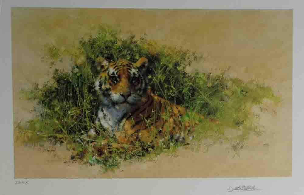 david shepherd wildlife of the world Bengal Tiger, portfolio