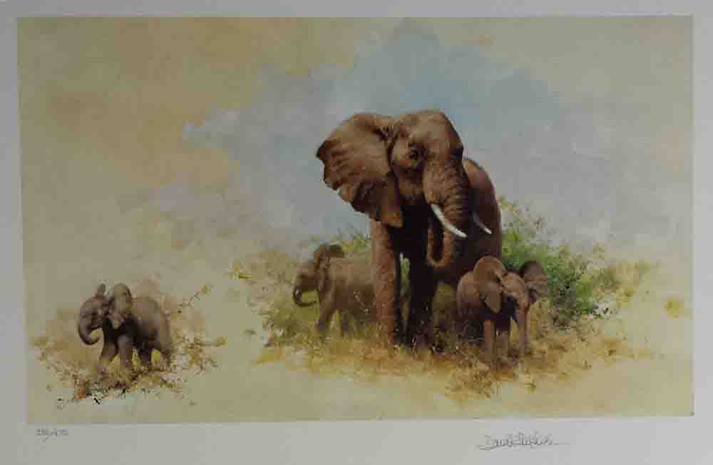 david shepherd wildlife of the world Elephant and babies, portfolio