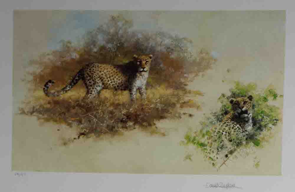 david shepherd wildlife of the world Leopards, portfolio