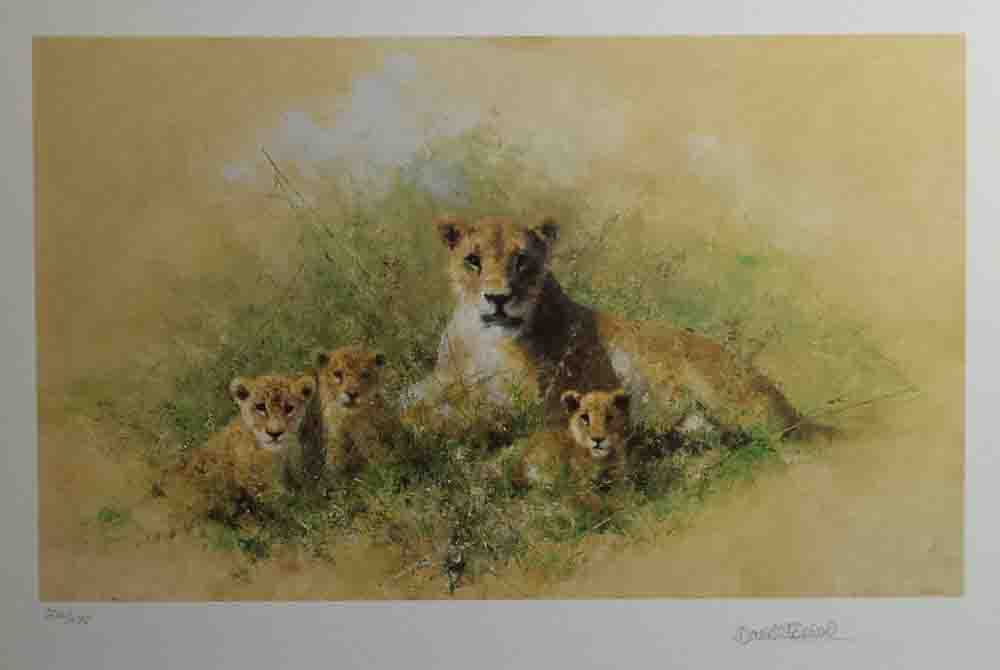david shepherd wildlife of the world Lioness and Cubs, portfolio