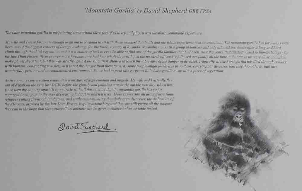 david shepherd wildlife of the world mountain gorilla, text