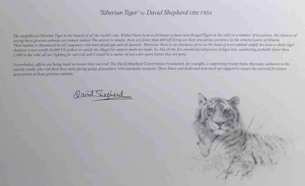 david shepherd wildlife of the world Siberian Tiger, text