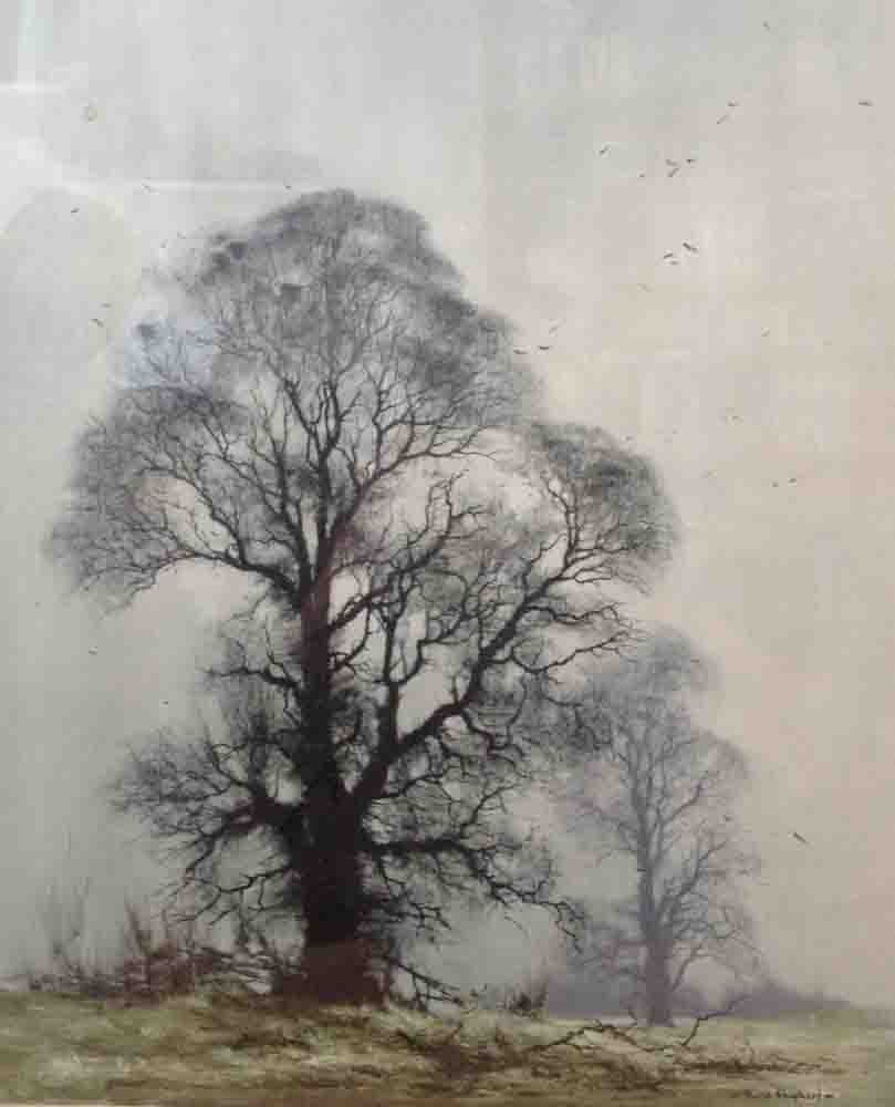 David Shepherd, winter elms, print