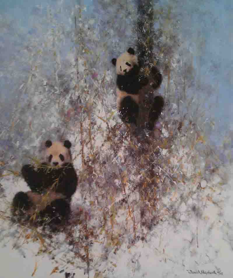 david shepherd winter in wolong